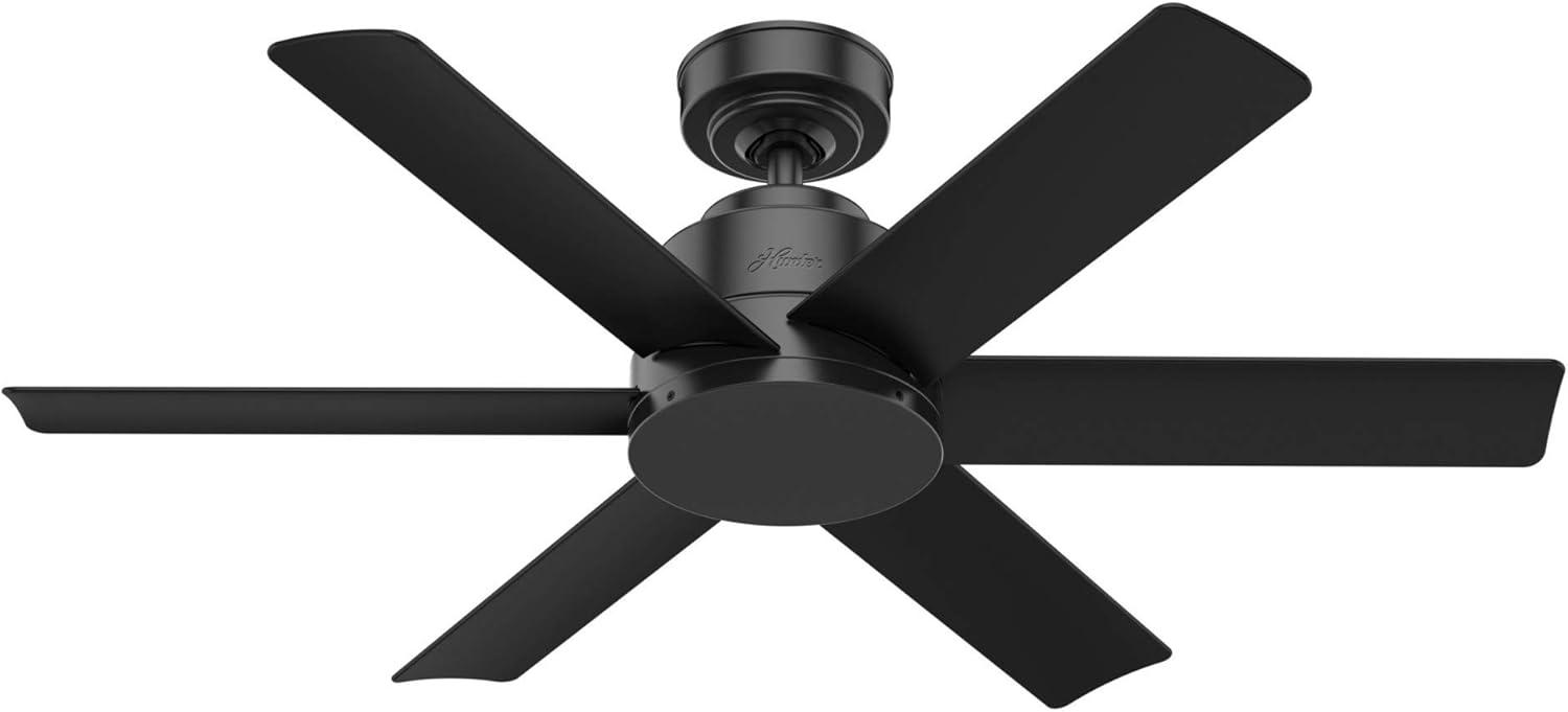 44" Kennicott 6 - Blade Outdoor Standard Ceiling Fan with Wall Control