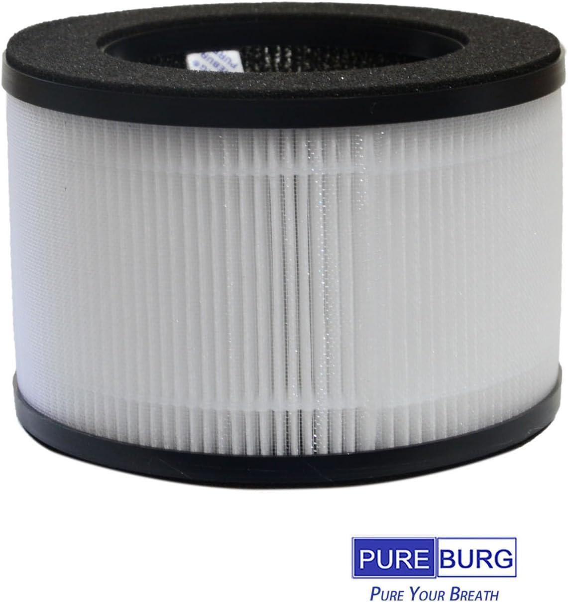 H13 HEPA Activated Carbon Air Purifier Replacement Filters, 2-Pack