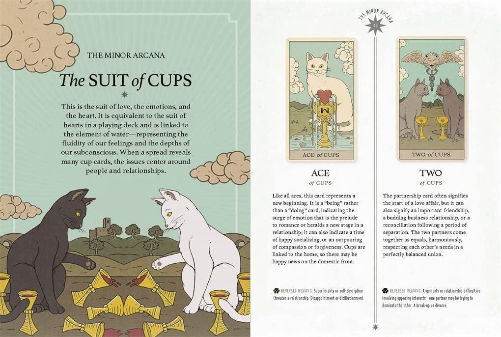 Cats Rule the Earth Tarot: 78-Card Deck and Guidebook for the Feline-Obsessed, (Paperback)