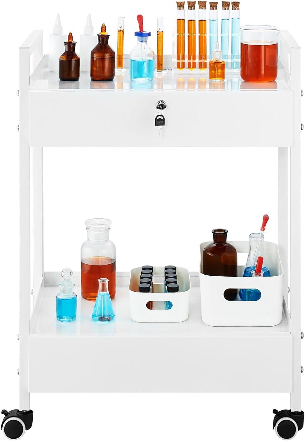 VEVOR Lab Rolling Cart, 2-Shelf Stainless Steel Rolling Cart, Lab Serving Cart with Swivel Casters, Dental Utility Cart for Clinic, Lab, Hospital, Salon, 15.16"x21.57"x34.06"