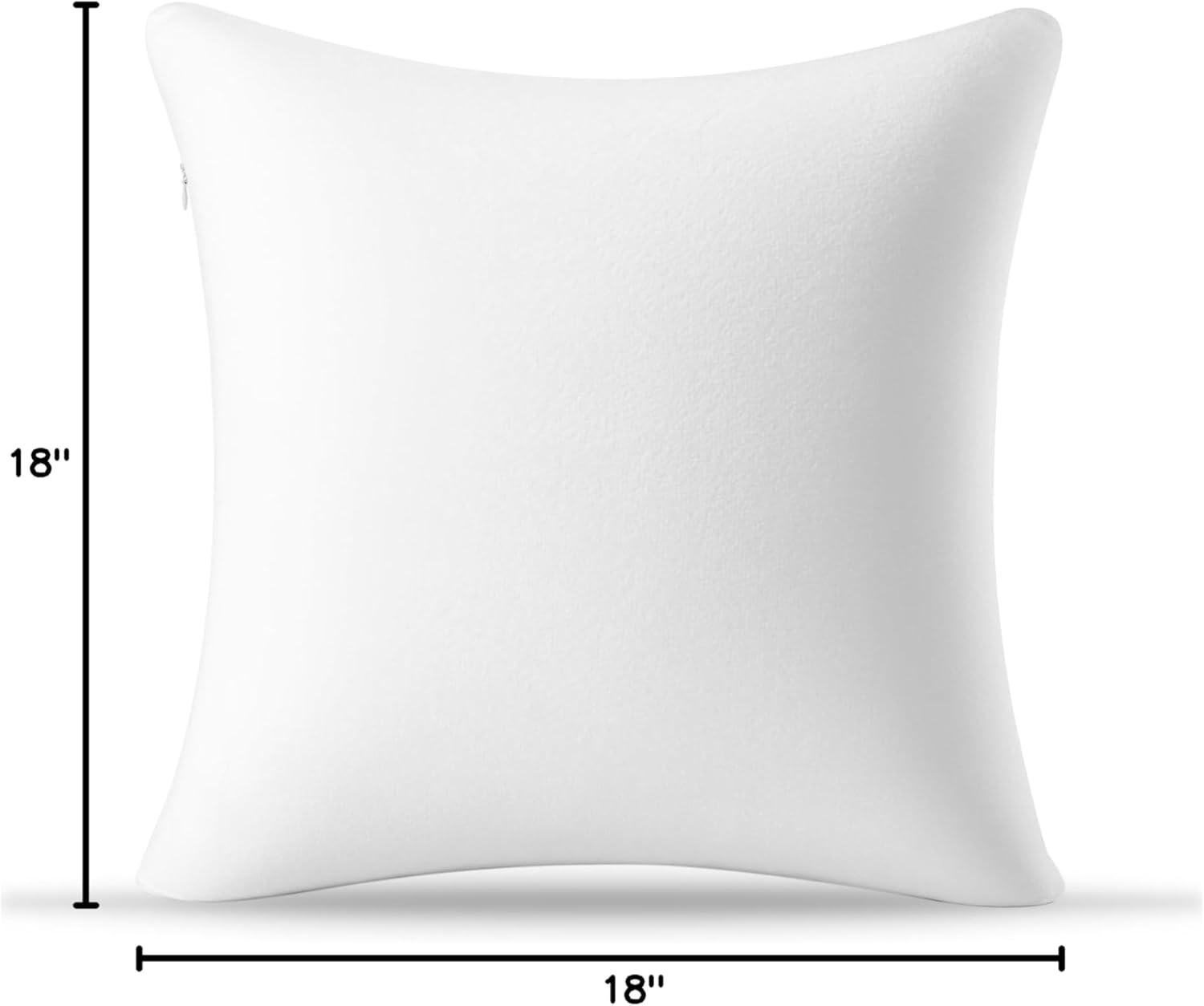 AM AEROMAX 18 × 18 Throw Pillow Memory Foam Pillow Insert - Square Accent Pillow for Decorative Cushion Bed Couch Sofa - Non-Deforming Over Time