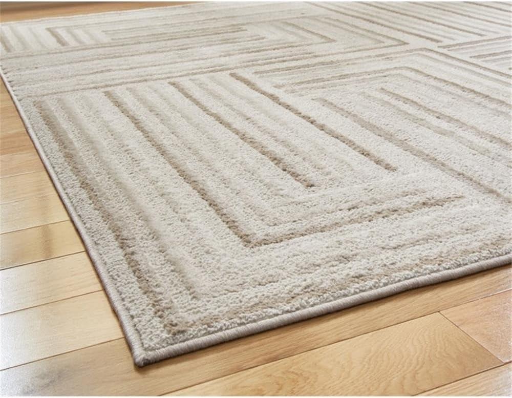 Signature Design by Ashley Darmondard Cream & Taupe 8x10 Rug