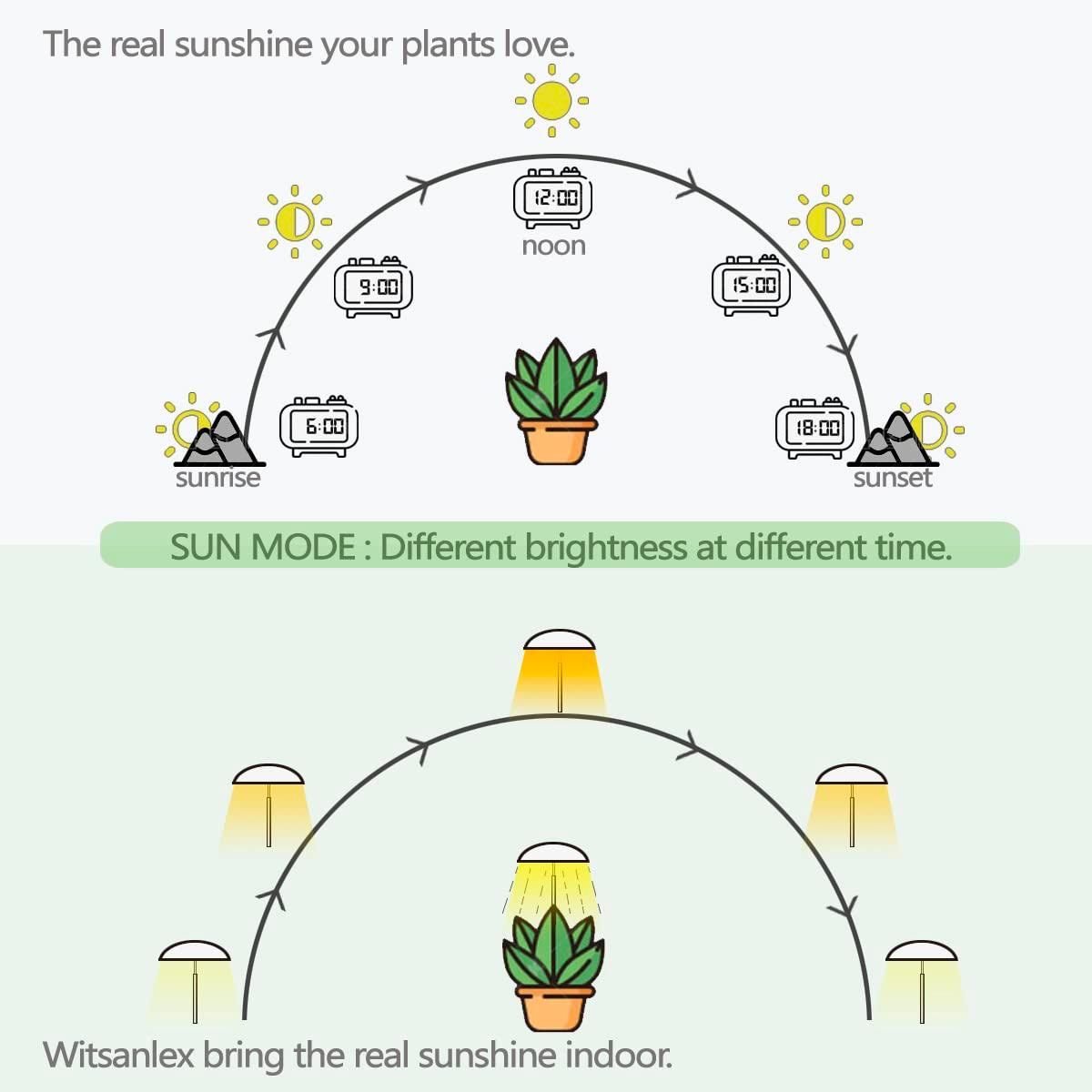 LED Grow Lights for Indoor Plants 2 Pack, Smart Full Spectrum USB Small Plant Lights with Remote, Height Adjustable, Auto On/Off Timer, Ideal for Home Decoration