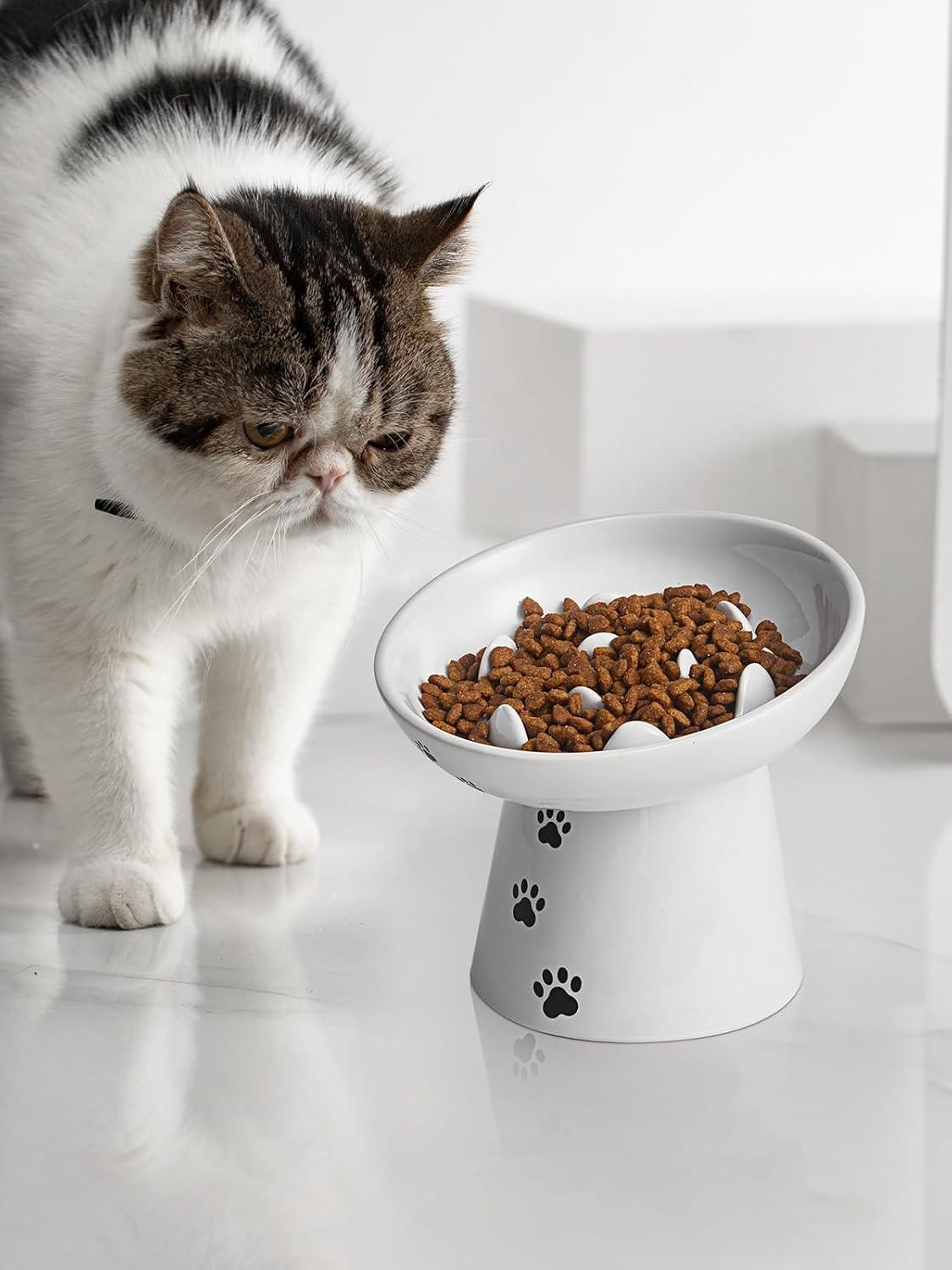 Y YHY Pet Feeder, Ceramic Cat Slow Feeder Bowl, 6 Inches, Elevated, Anti Vomiting for Dry and Wet Food, White C9