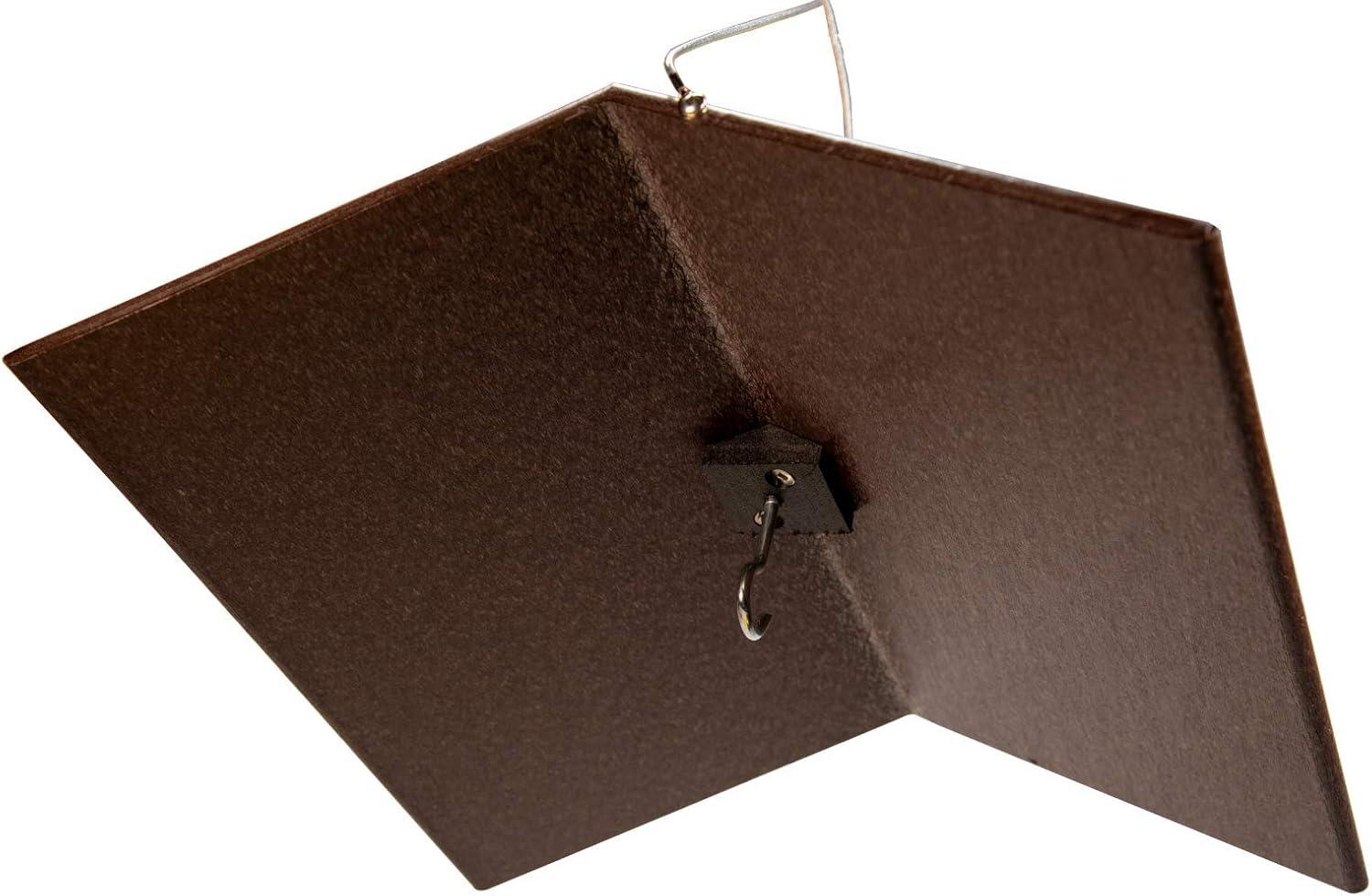 JCs Wildlife Poly Weather Cover - Rain Guard - Hang Bird Feeder or House Underneath for Protection from Rain or Snow - Easy to Clean and Use (Large,