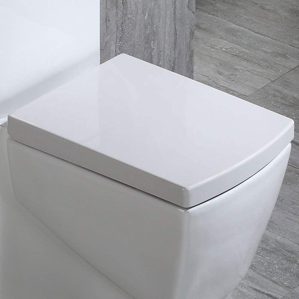 WOODBRIDGE T-0020 Dual Flush Elongated One Piece Toilet with Soft Closing Seat Design, Deluxe Square