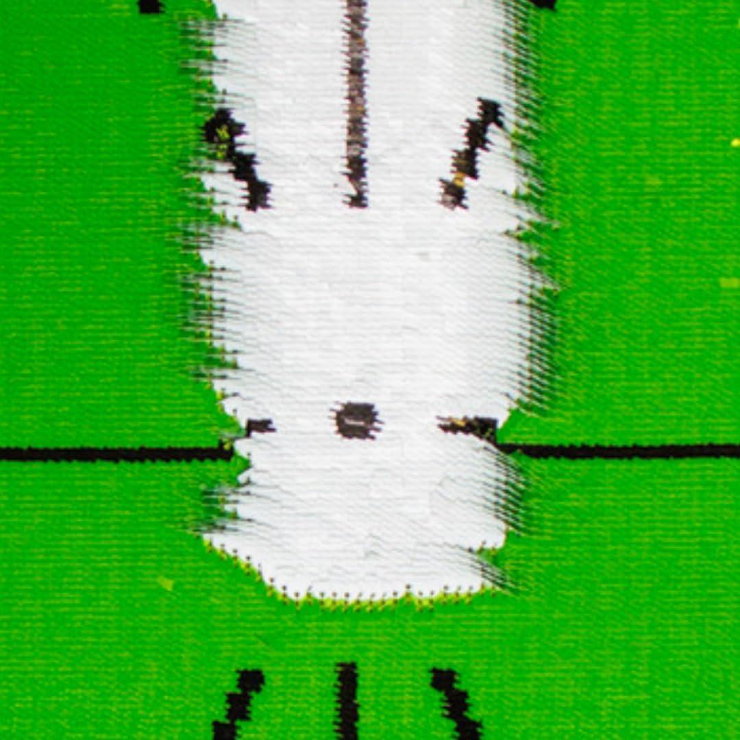 Birdie Bath Birdie Golf: Birdie Mat - Pro Premium Swing Training Mat, Analyze Swing Path & Ball Impact, Portable, Indoor & Outdoor, 19.25x12.3" Sports Accessory