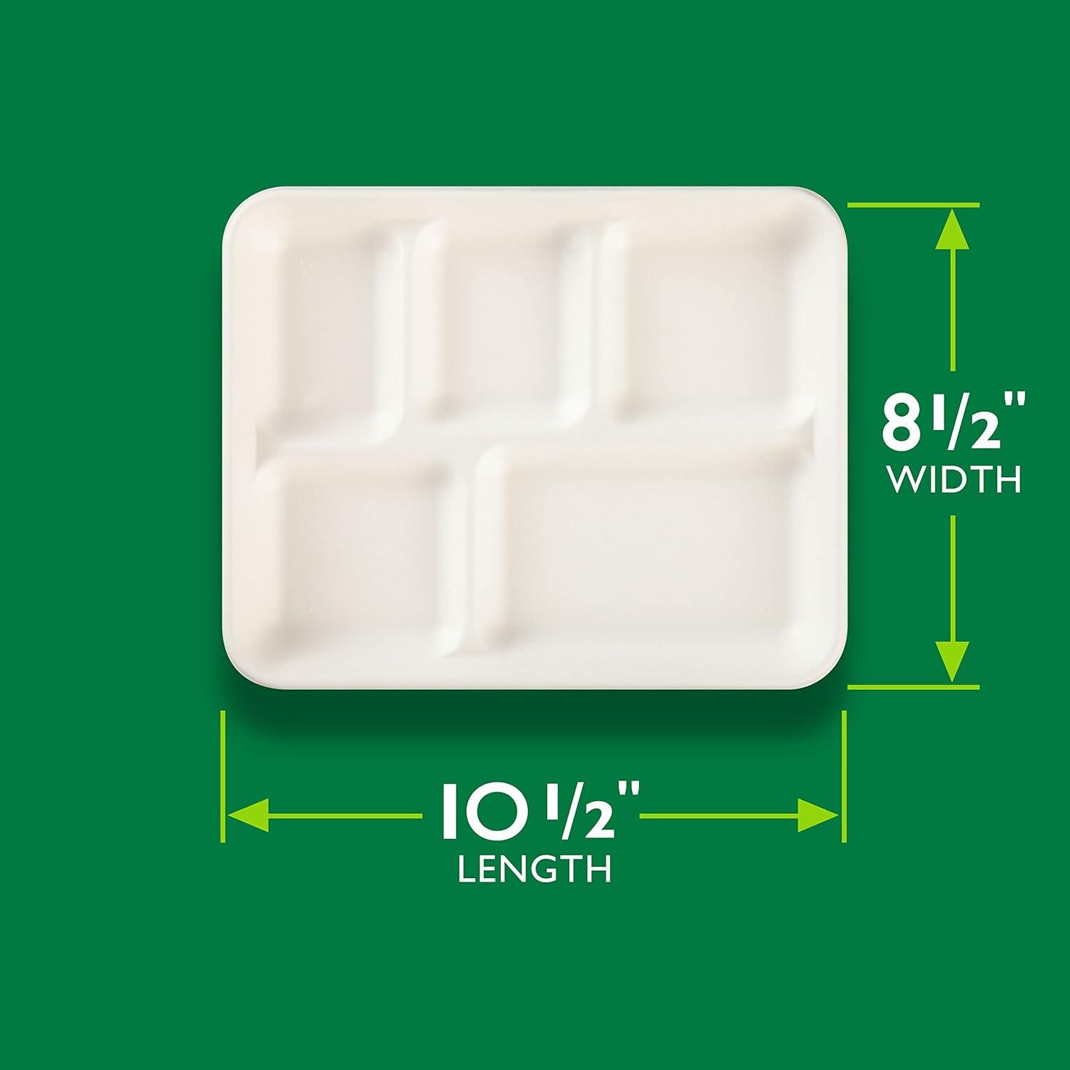 Hefty ECOSAVE Compostable 5-Compartment Paper Trays, 12 Count