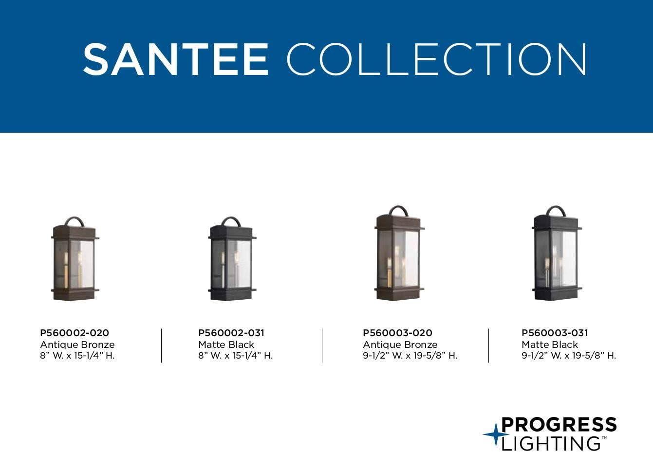 Progress Lighting Santee 2-Light Outdoor Wall Lantern in Black Steel with Beveled Glass Shade