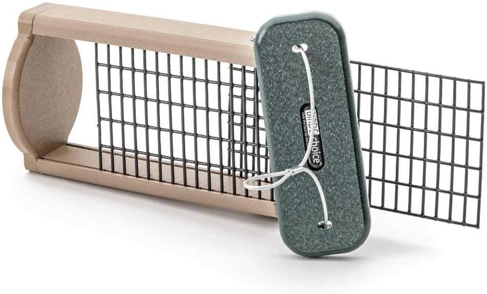 Birds Choice Hanging Suet Bird Feeder