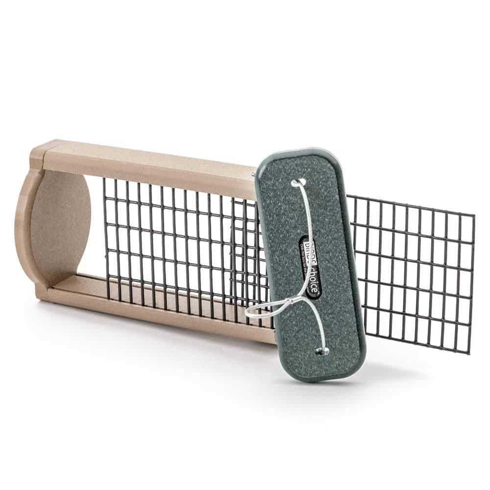 Birds Choice Hanging Suet Bird Feeder