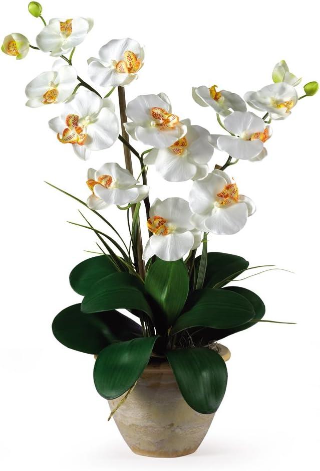 Nearly Natural Double Phalaenopsis Silk Orchid Flower Arrangement, Cream