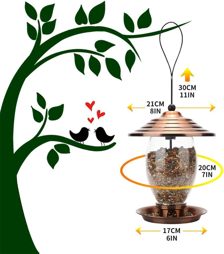 REALEAD Metal and Glass Wild Bird Feeder for Outside - 3 lbs Seed Capacity, Outdoor Hanging for Garden Yard