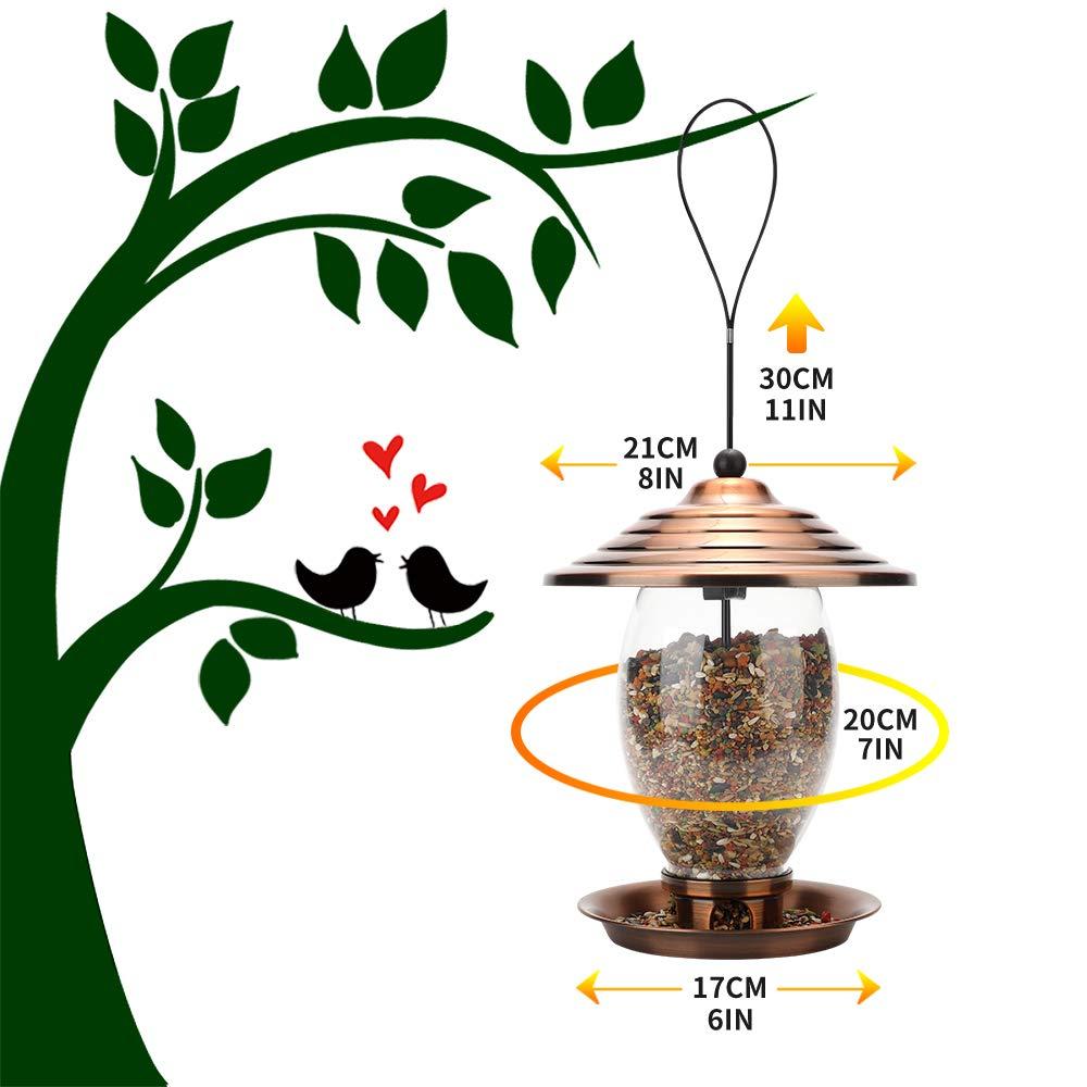 REALEAD Metal and Glass Wild Bird Feeder for Outside - 3 lbs Seed Capacity, Outdoor Hanging for Garden Yard
