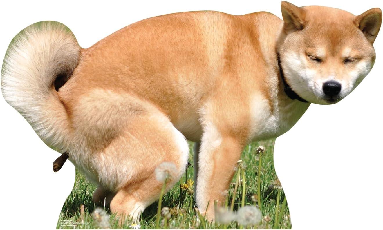 28 x 48 in. Pooping Dog Life-Size Cardboard Cutout