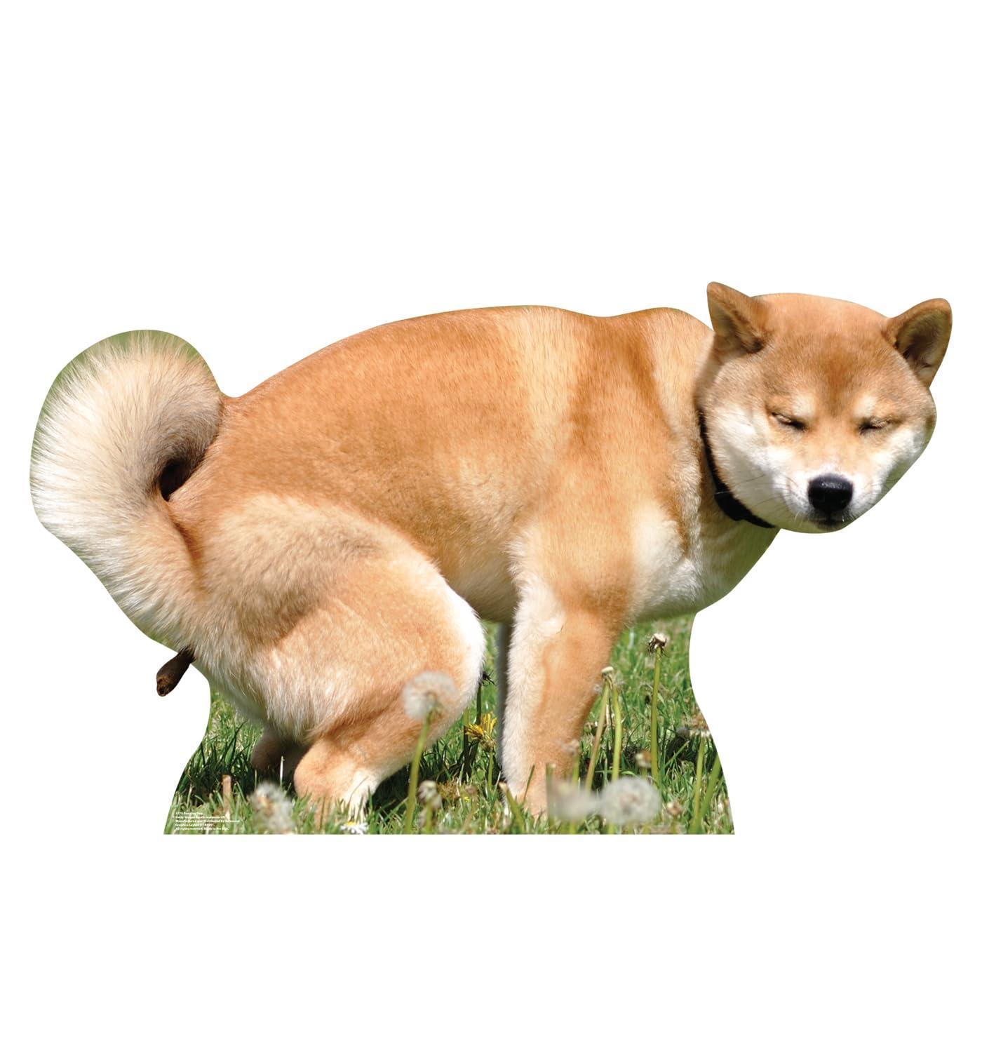 28 x 48 in. Pooping Dog Life-Size Cardboard Cutout