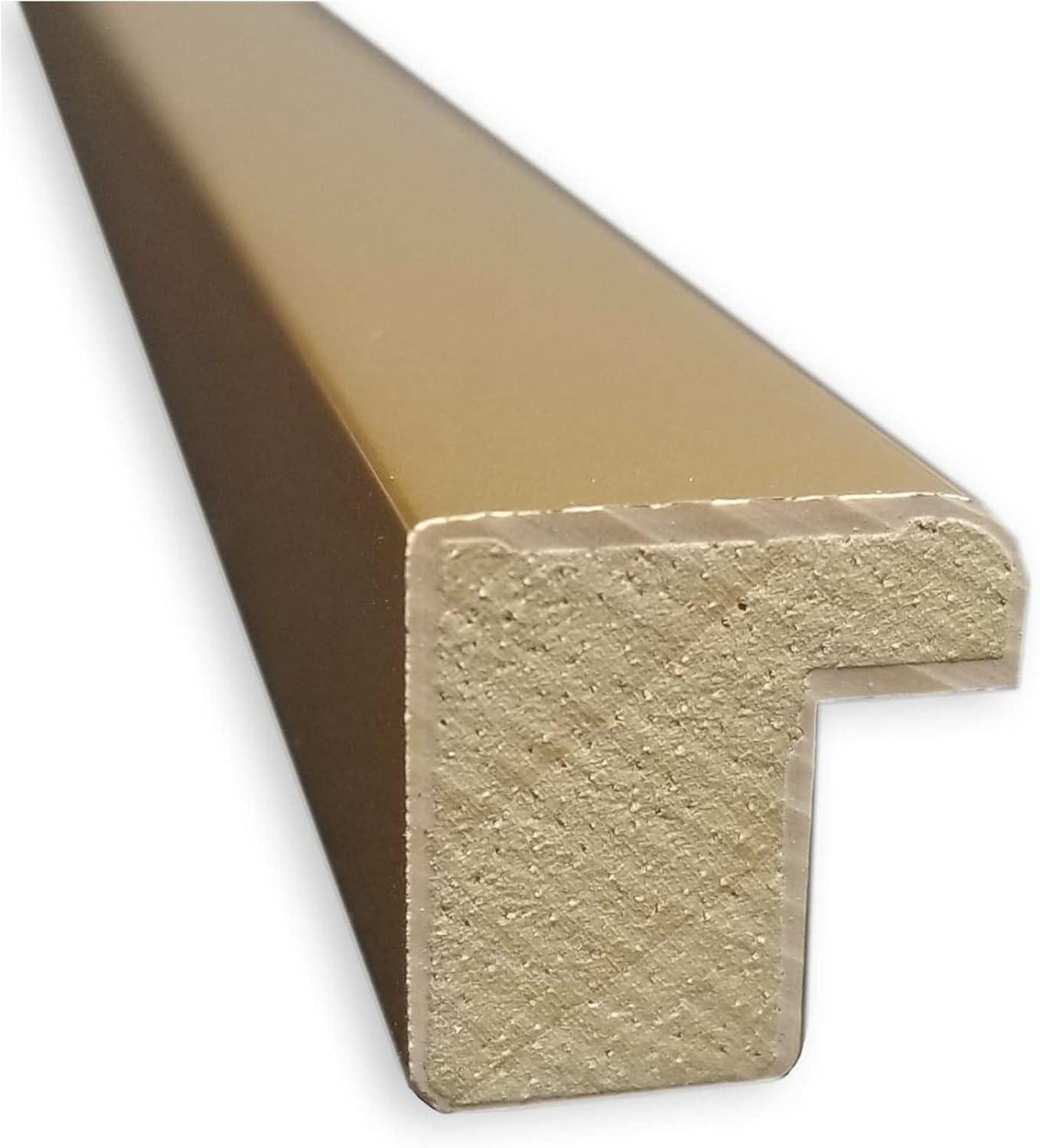 21" x 21" Ficus I by Asia Jensen Framed Wall Art Print Pink - Amanti Art: Modern Hardwood Frame, Botanical Lithograph