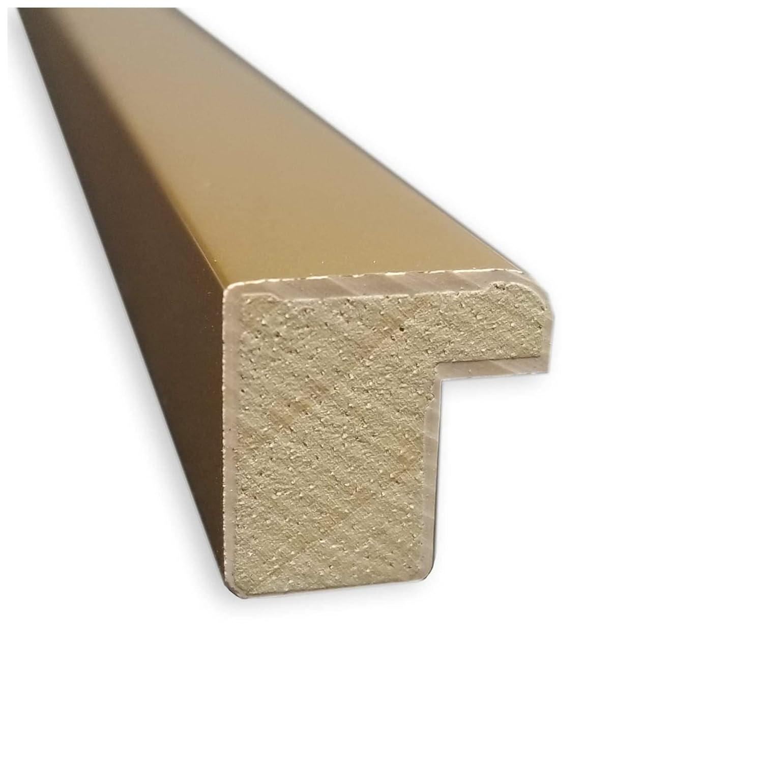 21" x 21" Ficus I by Asia Jensen Framed Wall Art Print Pink - Amanti Art: Modern Hardwood Frame, Botanical Lithograph