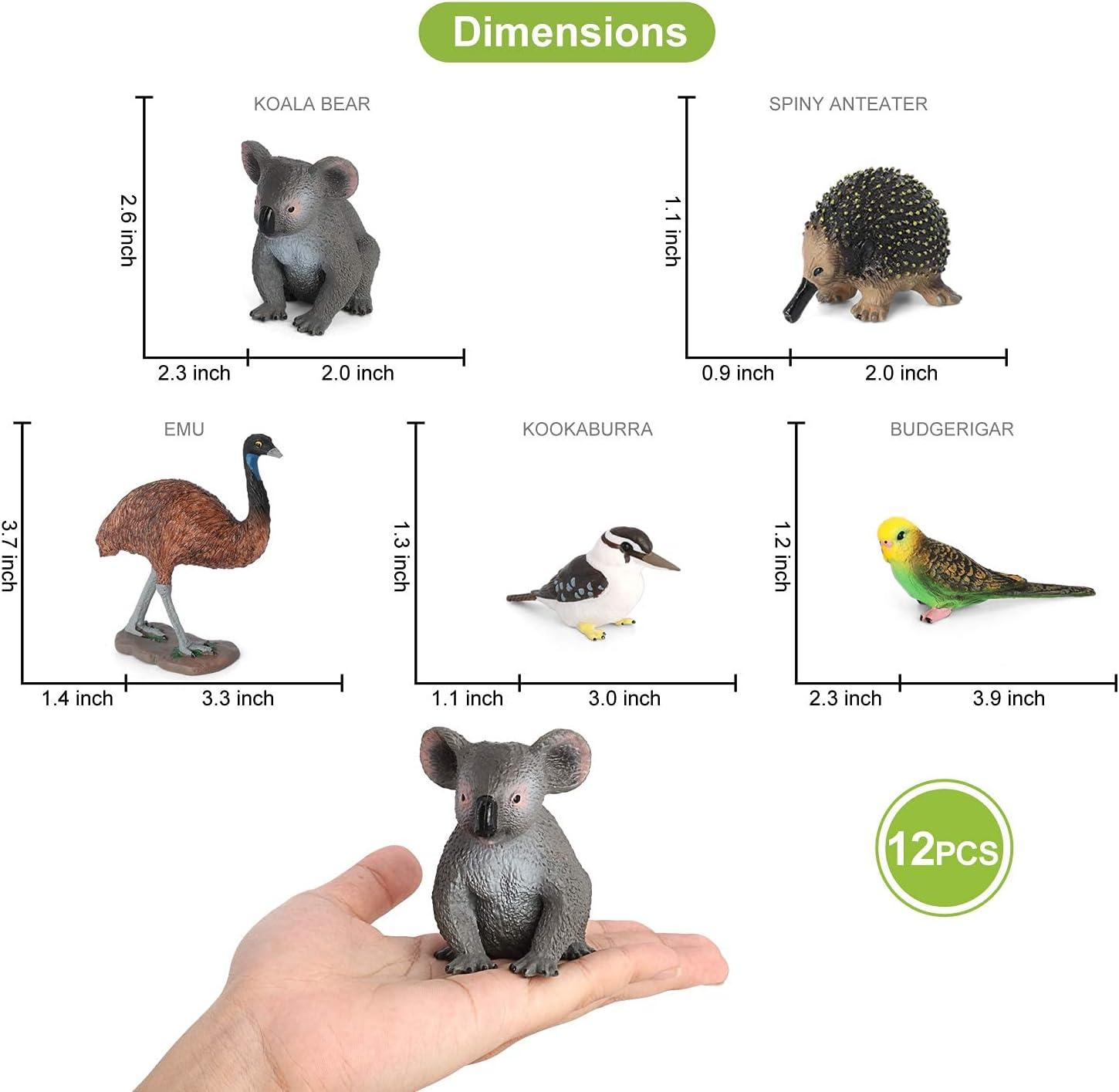 Volnau Animal Toys Figurines 12Pcs Australia Animal Figures Zoo Pack Educational Kangaroo Koala Sets