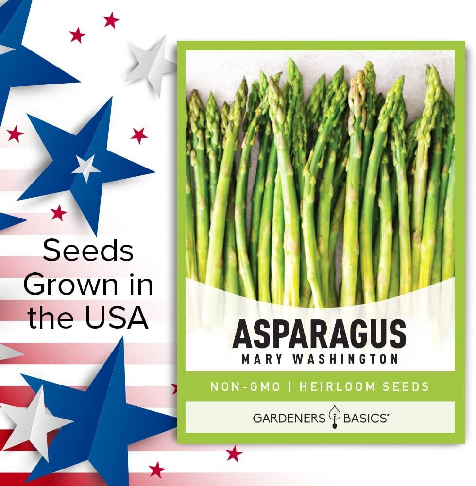 Mary Washington Non-GMO Heirloom Asparagus Seeds for Spring Planting