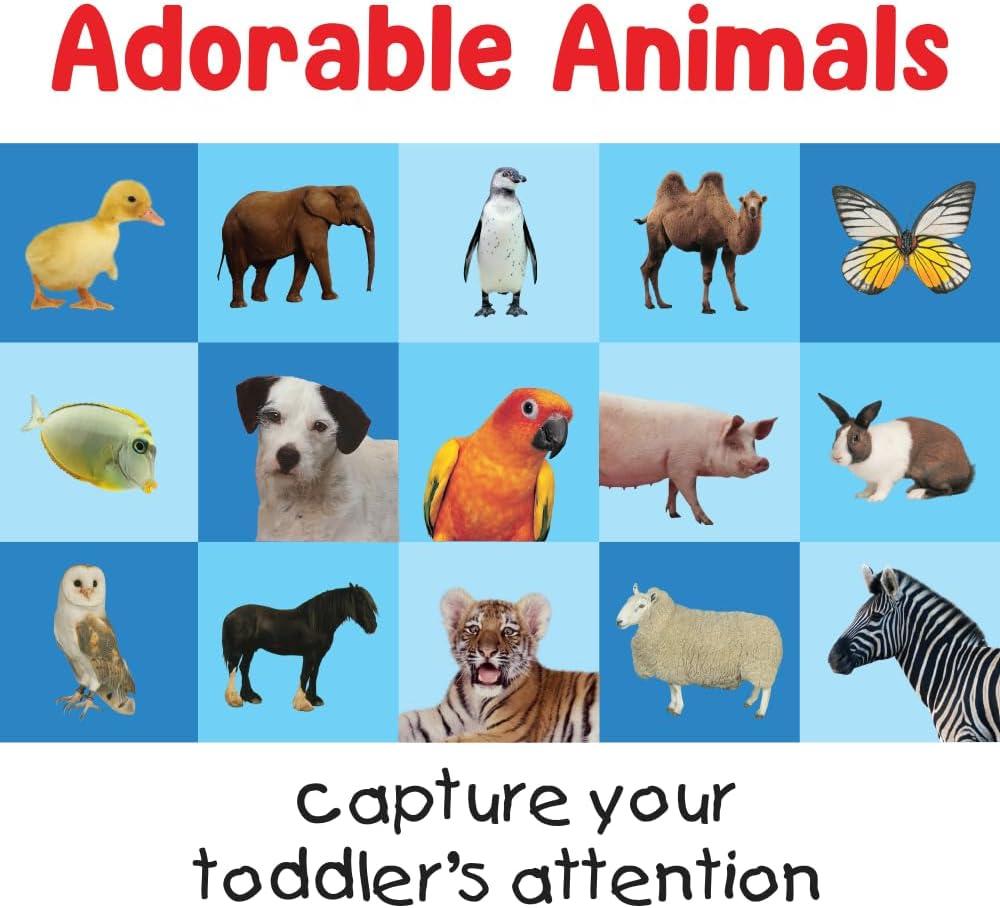 First 100 Animals Matching Card Game