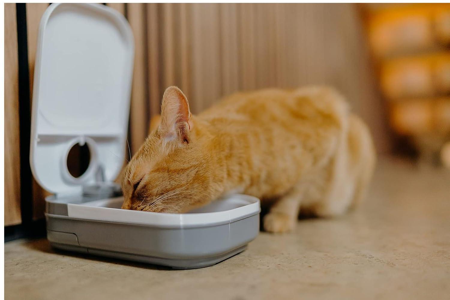 Cat Mate Single Meal Automatic Pet Feeder, BPA-Free, Fly-Proof, Holds 14 oz. of Wet Food