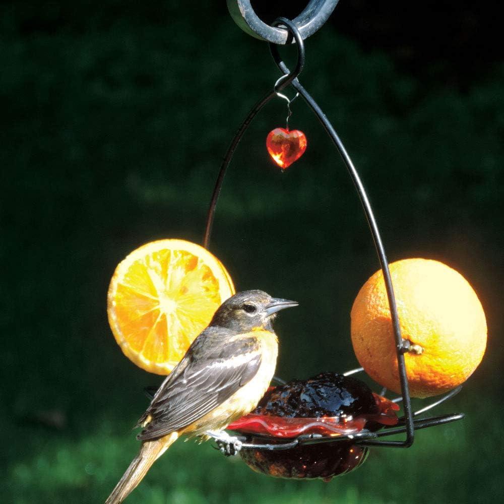 Oriole Feeder Flower Shape for Oranges and Jelly