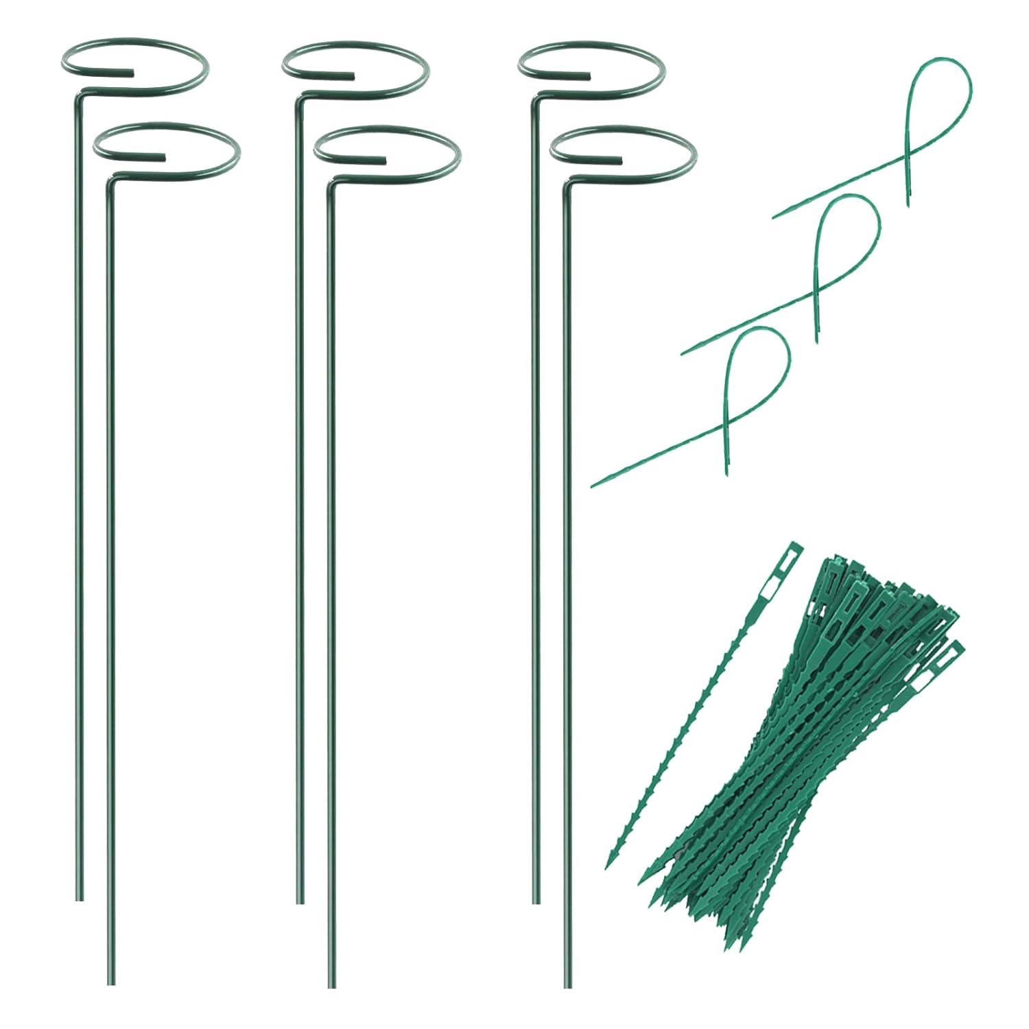 Plant Stake - 6 Pack, Garden Single Stem Stake Plant Cage Rings, Single Stem Plant Stakes, Plant Twist Ties, for Flowers Amaryllis Tomatoes Peony Lily Rose (15.9 inch) C49