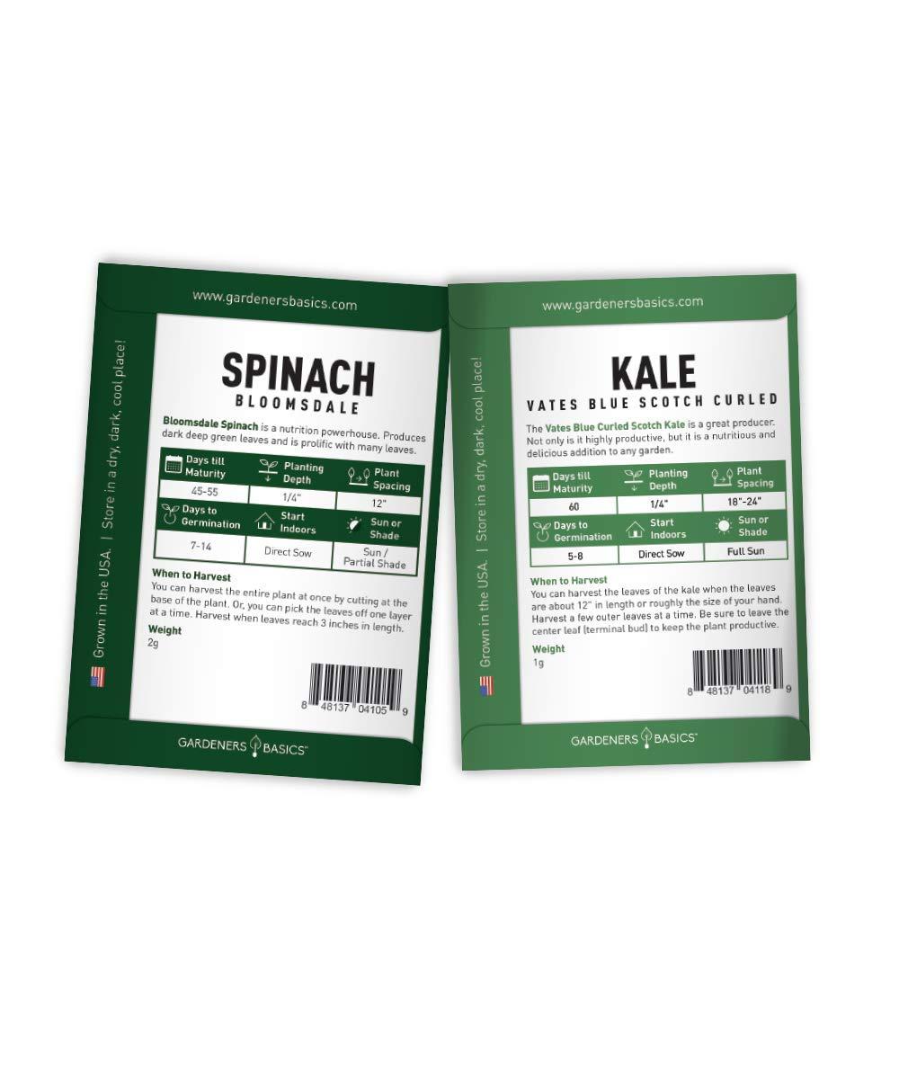 Black Indoor/Outdoor Vegetable Garden Starter Kit with Tools and Seeds