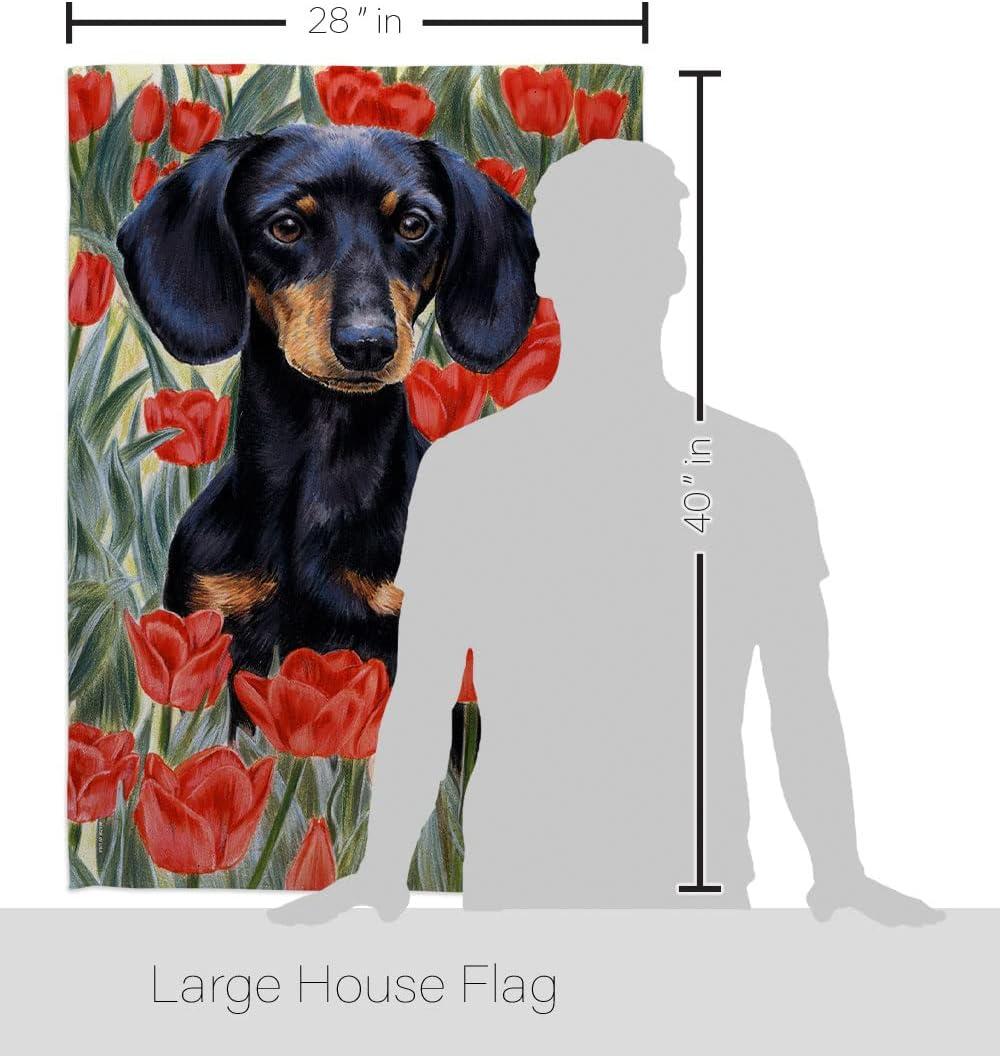 Breeze Decor Double Sided 40.00'' H x 28.00'' W Polyester Flag Set