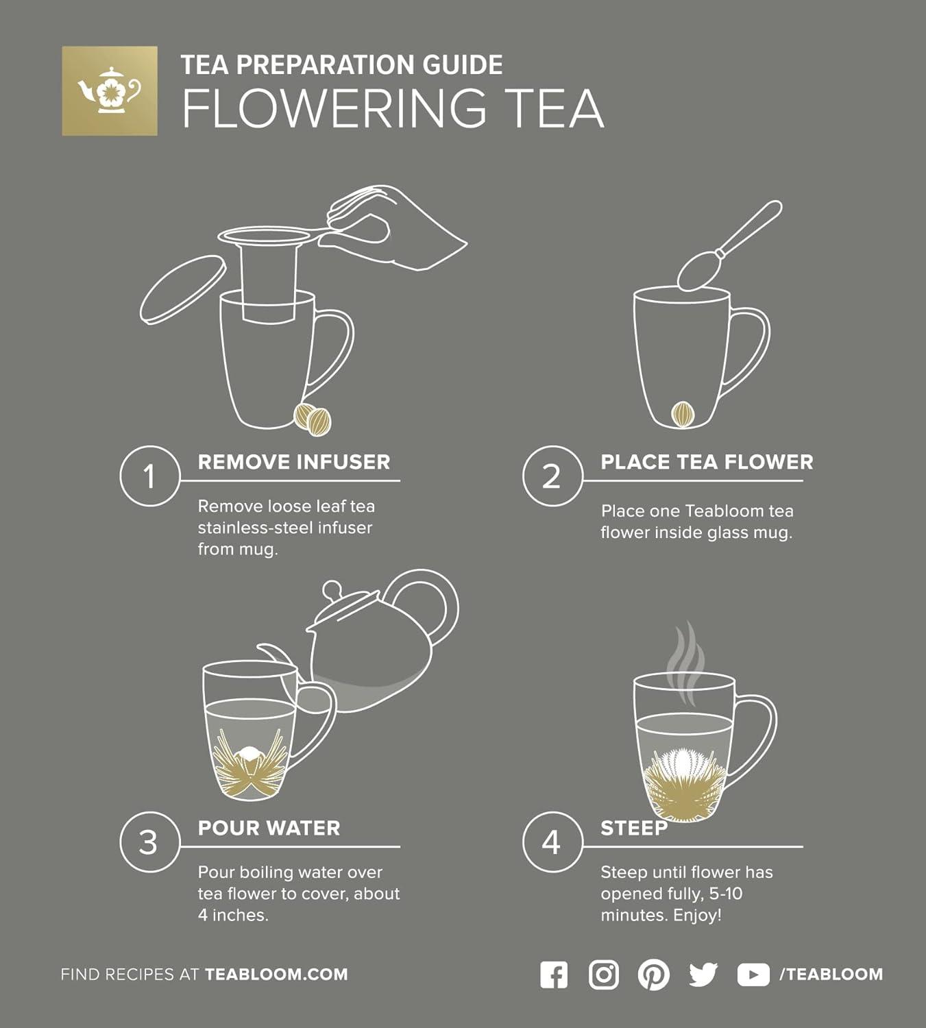 Teabloom Stay-Hot Heatproof Glass Mug with Loose Tea Infuser and Lid – 15 oz /430 mL – 2 Blooming Teas Included