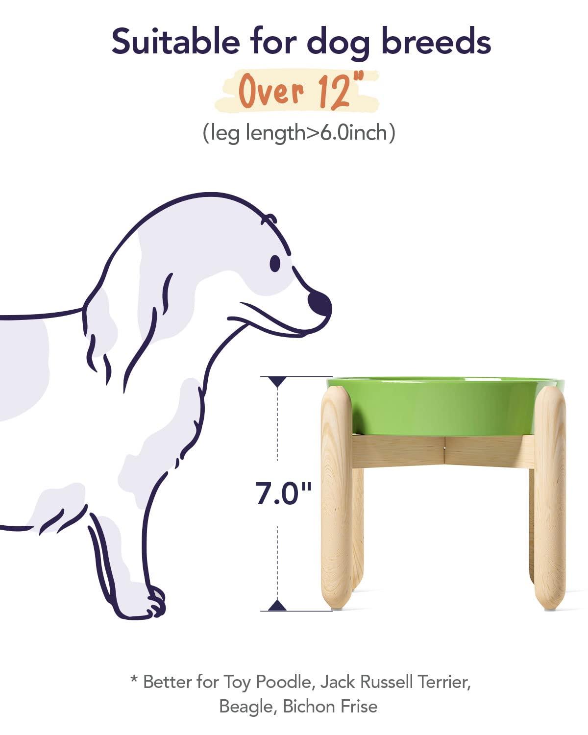 Ceramic Slow Feed Dog Bowls