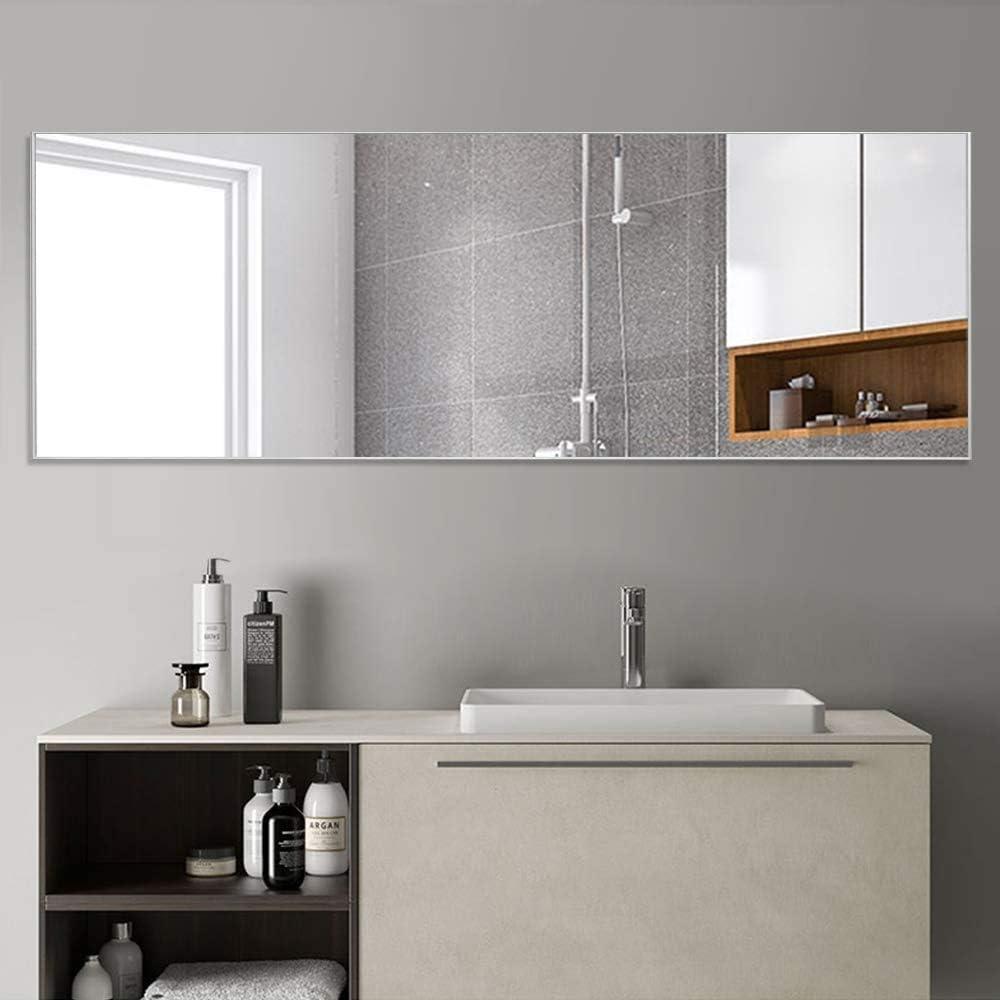 Silver Full Length Rectangular Aluminum Alloy Mirror, 65"x22"