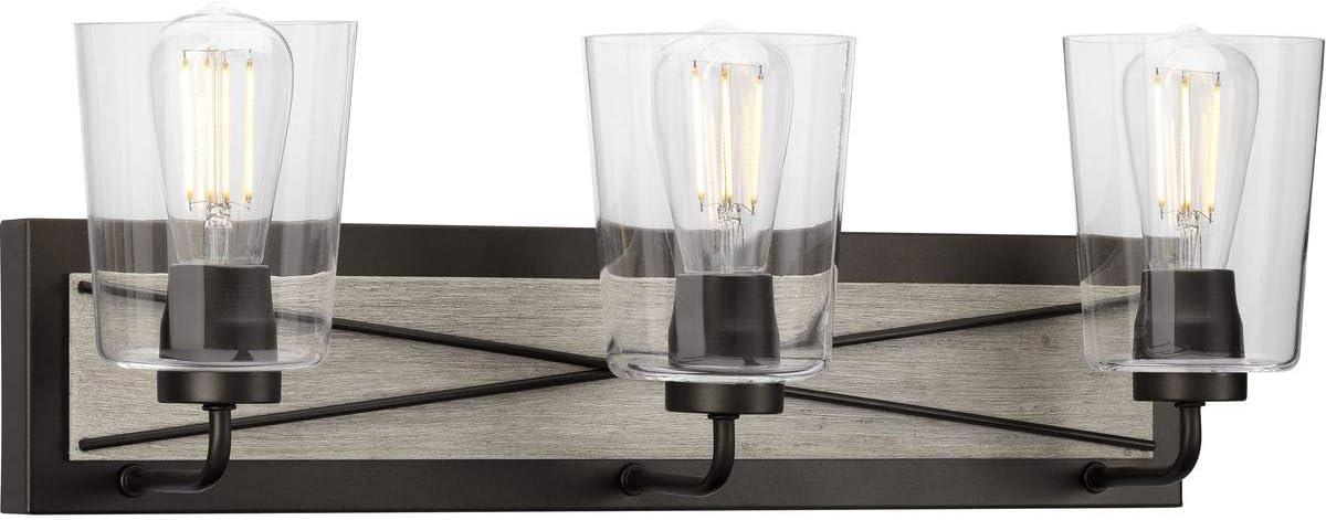 Progress Lighting Briarwood 3-Light Bath Vanity in Graphite with Clear Glass Shades