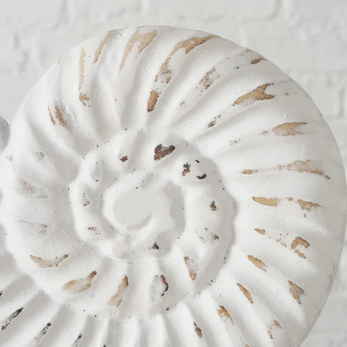 Hand Carved White and Natural Nautilus Shell Sculptures with MDF Wood Base