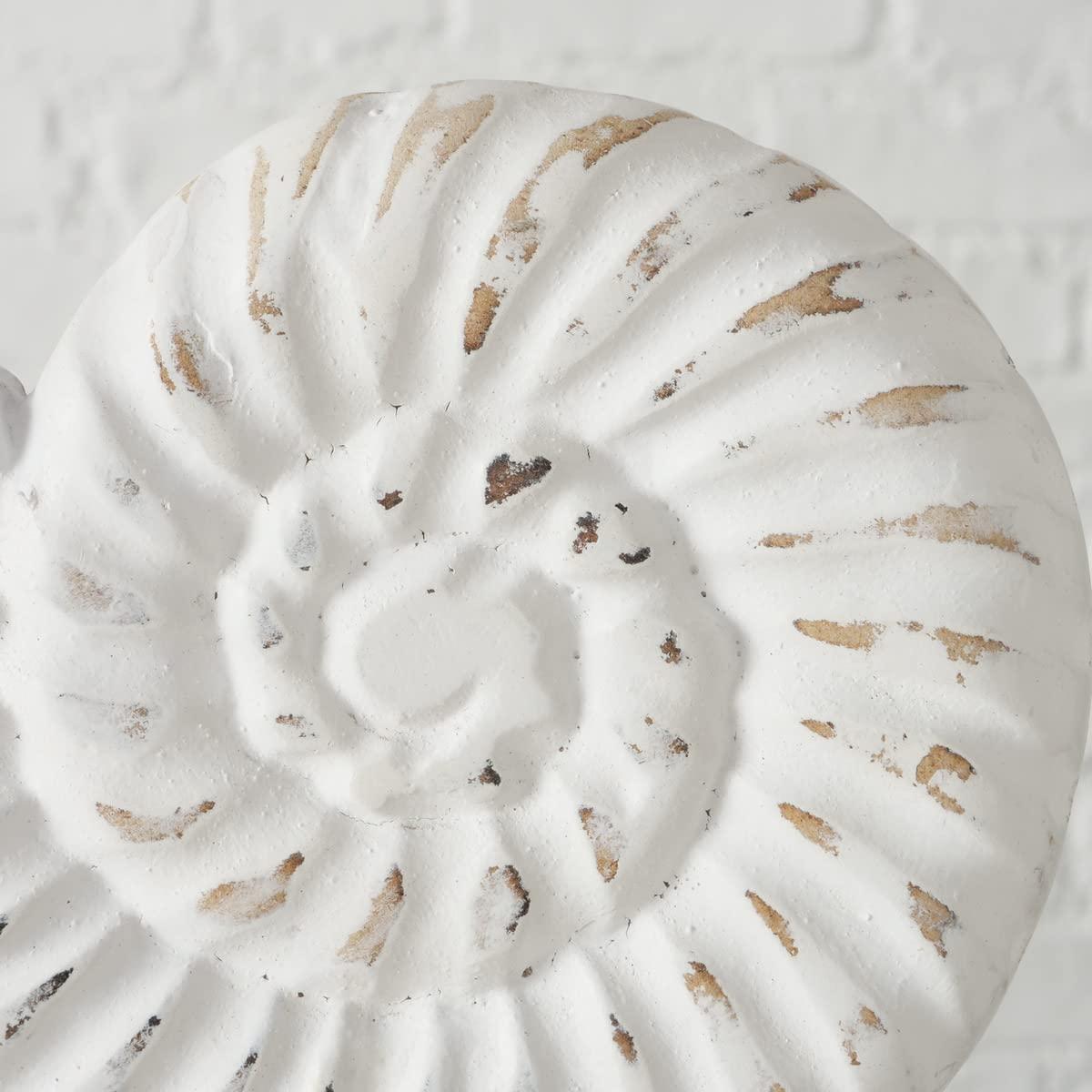 Hand Carved White and Natural Nautilus Shell Sculptures with MDF Wood Base