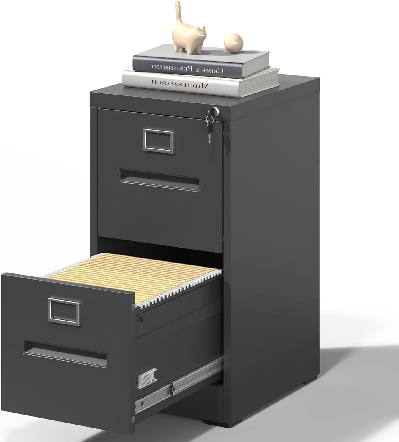 2 Drawer Metal Vertical File Cabinet with Lock for Home Office, A4/Letter/Legal Size, Assembly Required