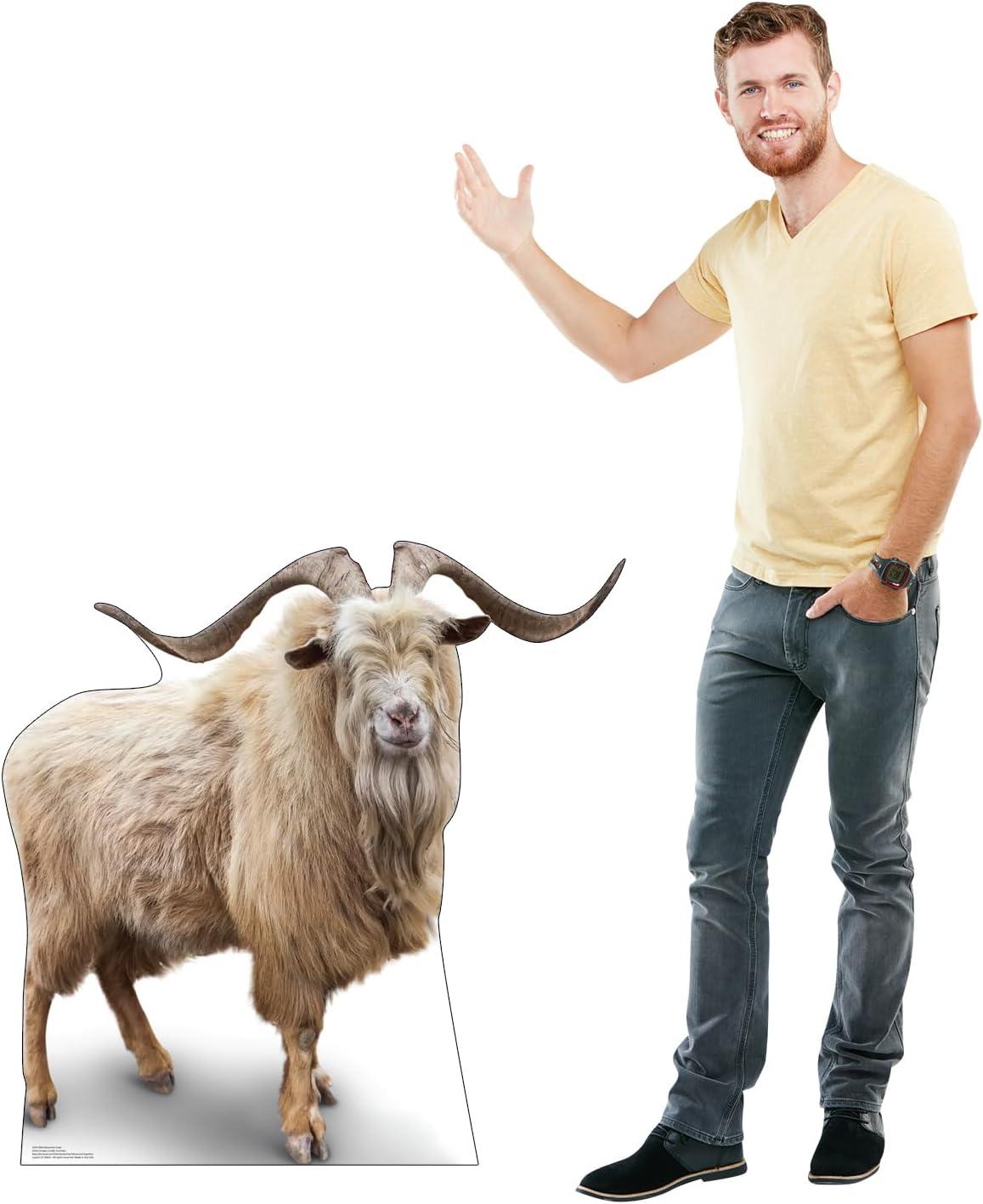 37 x 37 in. Wild Mountain Goat Life-Size Cardboard Cutout