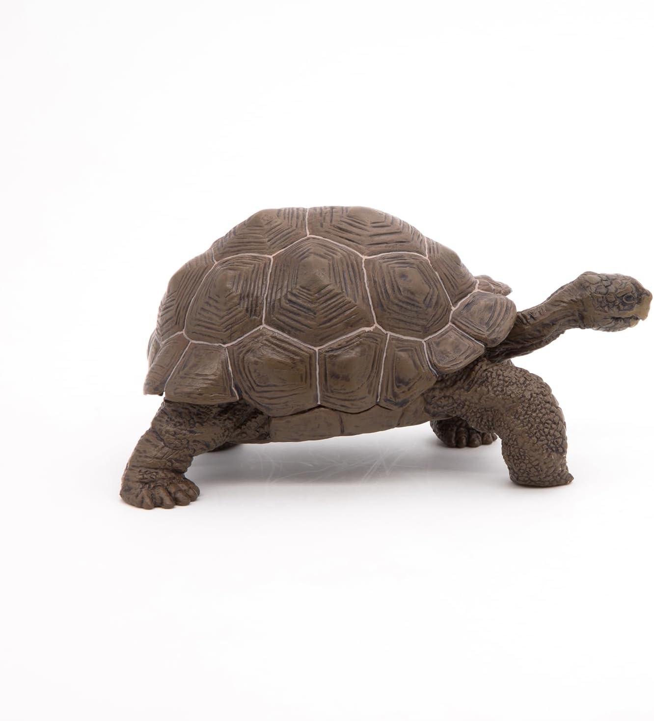 Papo Galapagos Tortoise Toy Figure