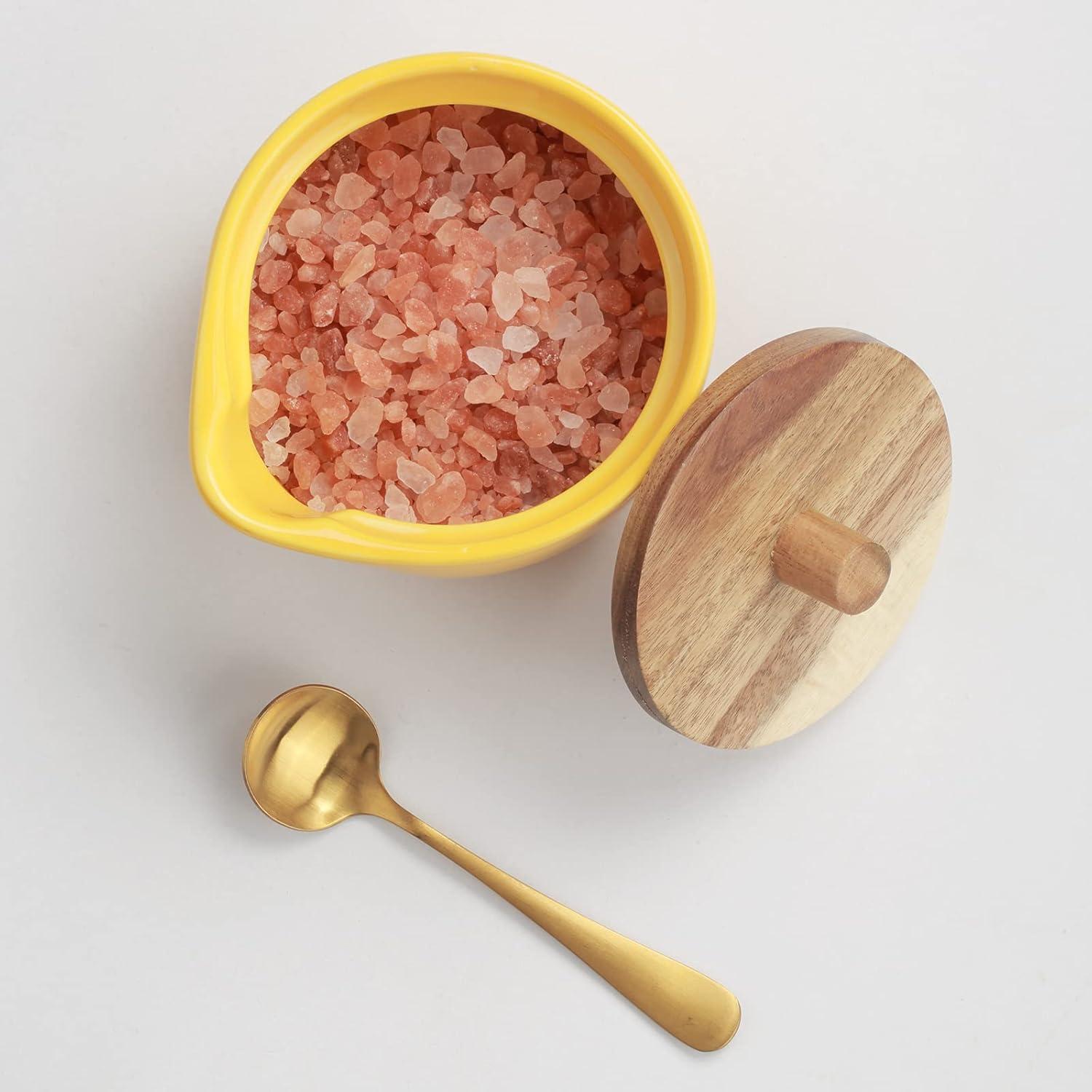 everous Salt Box(yellow) Salt Cellar Elegant Design Decorative Boxes Big Capacity Wood yellow Ceramic Base