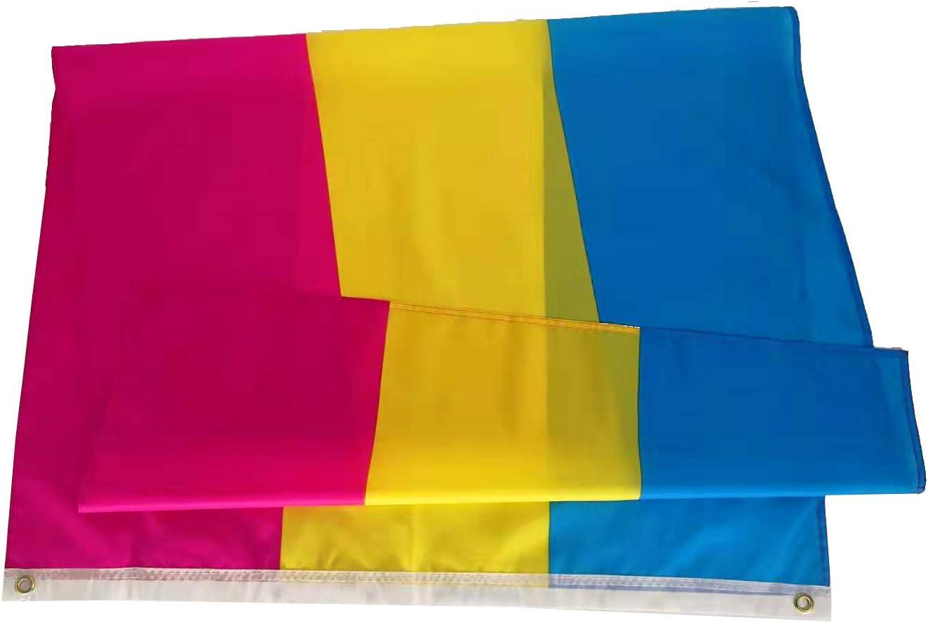 FLAGLINK Pansexual Flag 3x5Fts – LGBT Pansexuality Omnisexuality Pride Banner