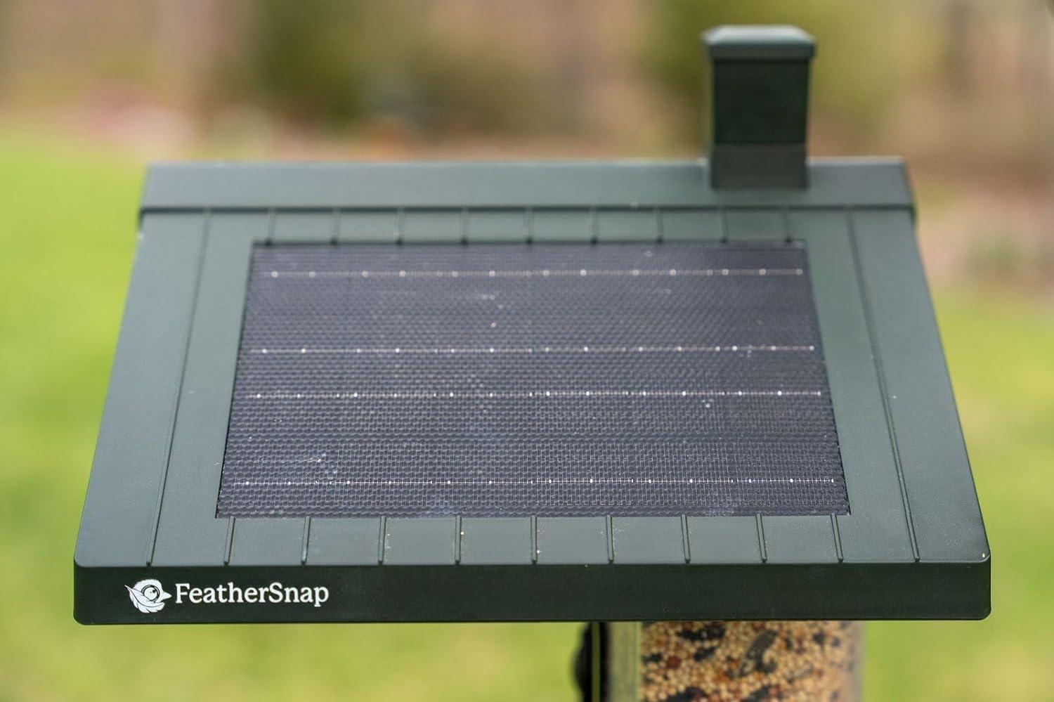 Feathersnap Scout WiFi Solar-Powered Smart Bird Feeder