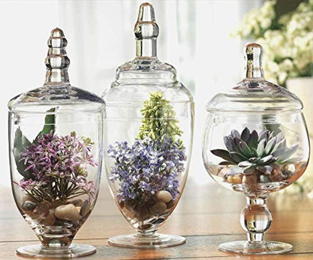 Terra Glass Jar - Set of 3