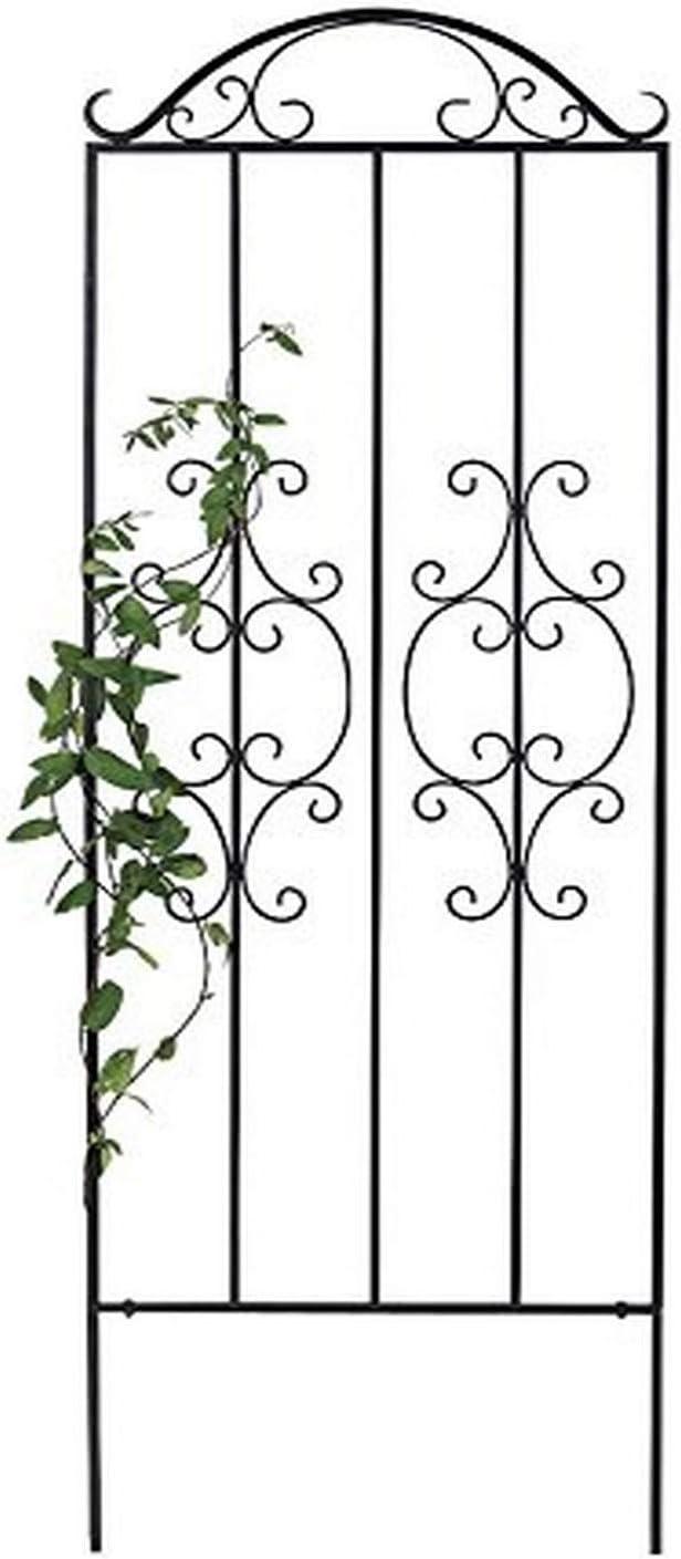 Plow & Hearth Montebello 109'' H x 32'' W Iron Gothic Trellis