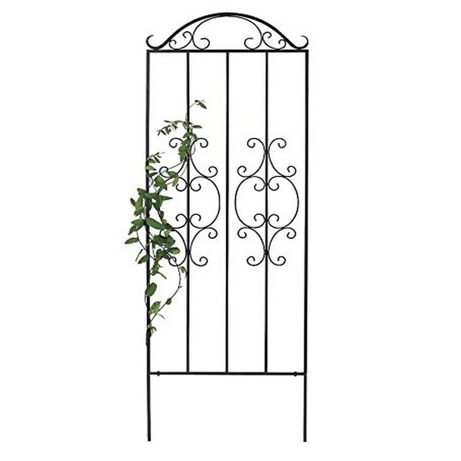 Plow & Hearth Montebello 109'' H x 32'' W Iron Gothic Trellis