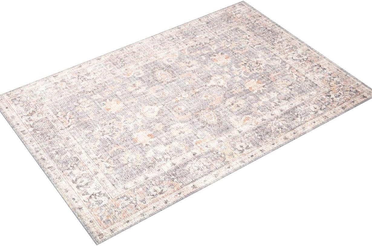 Loloi II Skye Oriental Grey / Apricot Area Rug