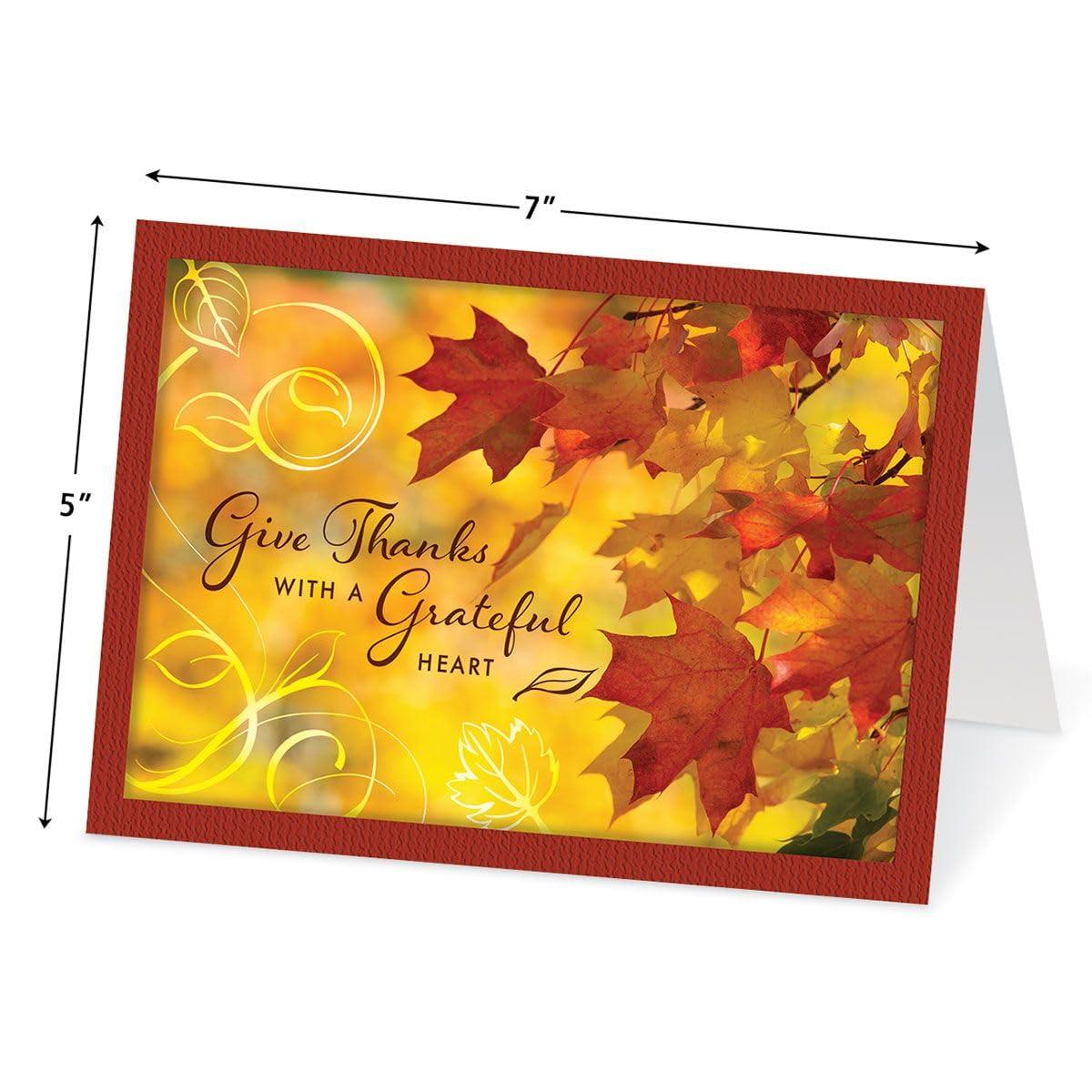 Current Family & Friends Thanksgiving Cards Value Pack - 12 Large 5 x 7-Inch