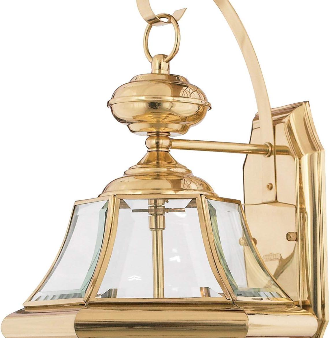 Medici Bronze 20" Outdoor Wall Lantern with Clear Glass