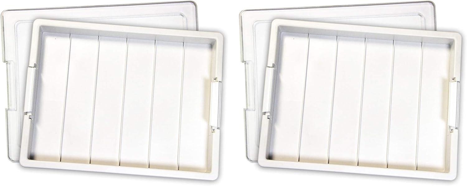 Bead Storage Solutions Bead Storage Solutions Elizabeth Ward Plastic Craft Case (Set of 2)