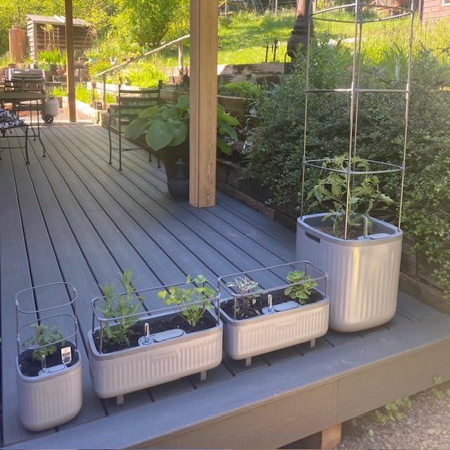 Vego Garden Mini Tomato Plastic Outdoor Pot Planter with Trellis